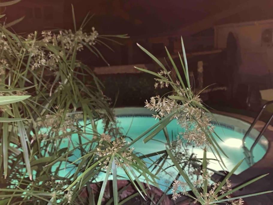 Piscine Cosy, 3 Chambres, 3 Sdb, Havre De Paix A 10 Min Des Plages Mauguio Bagian luar foto