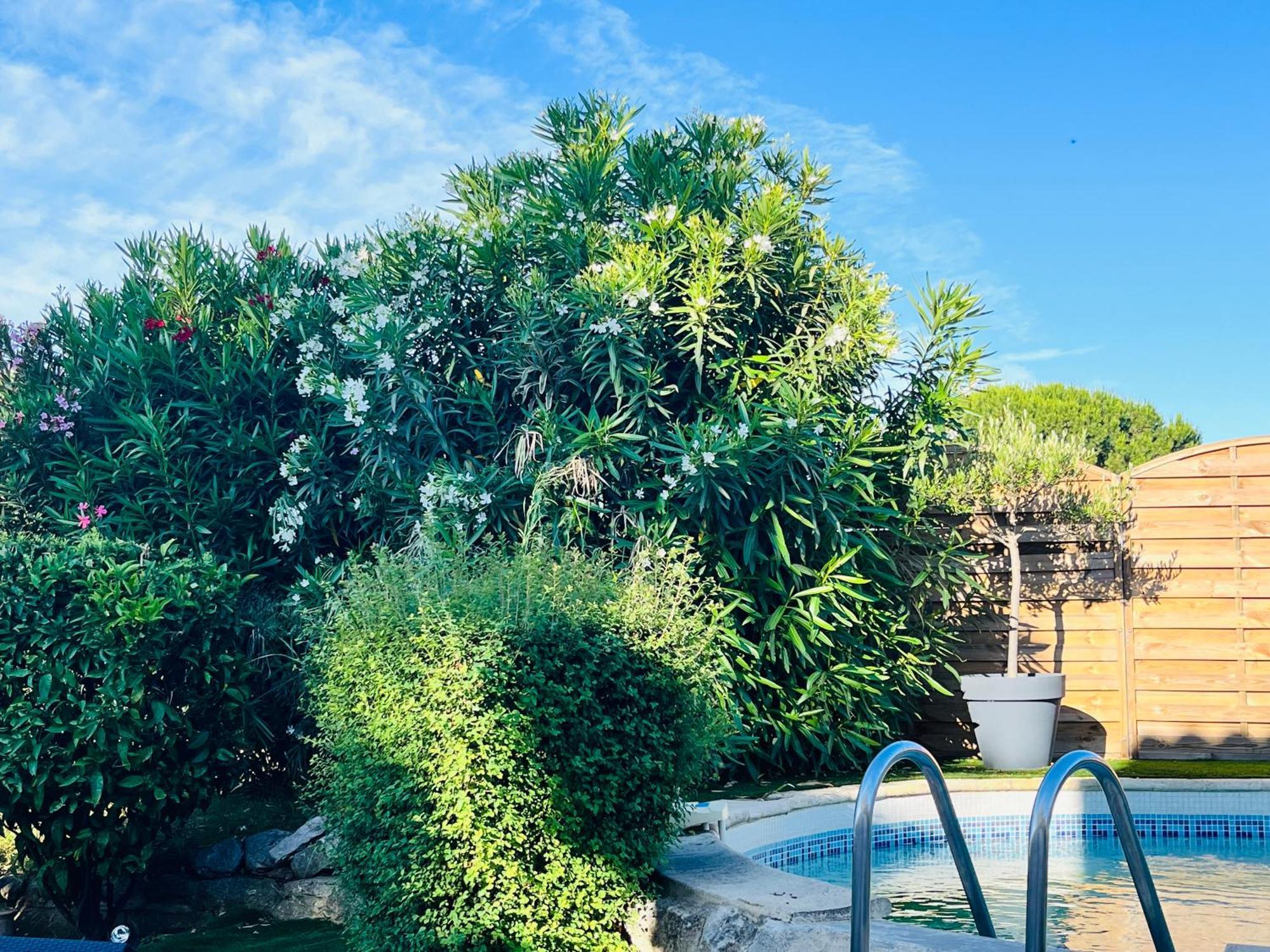 Piscine Cosy, 3 Chambres, 3 Sdb, Havre De Paix A 10 Min Des Plages Mauguio Bagian luar foto